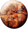Magnetbutton Bär