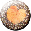 Magnetbutton Blatt