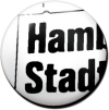 Magnetbutton HamSta